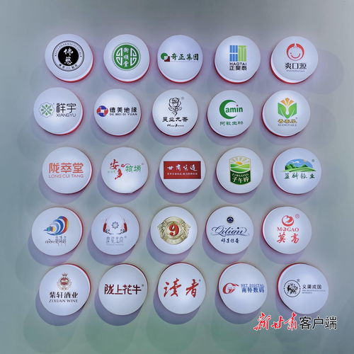 消博会甘肃馆 精品荟萃，万语铭博展新姿